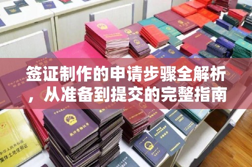 浪卡子签证制作的申请步骤全解析，从准备到提交的完整指南