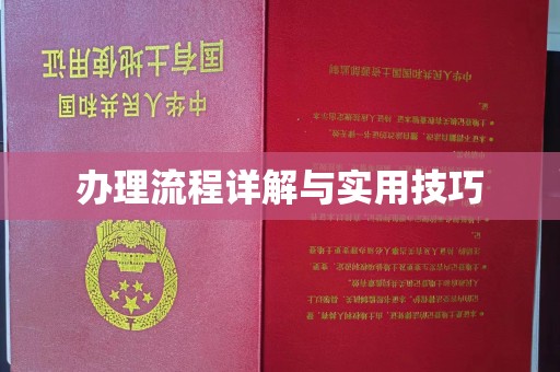 浪卡子办理流程详解与实用技巧