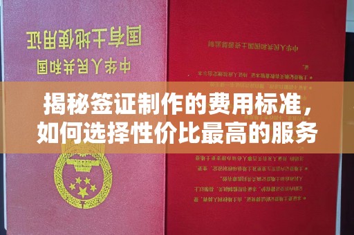 浪卡子揭秘签证制作的费用标准，如何选择性价比最高的服务？